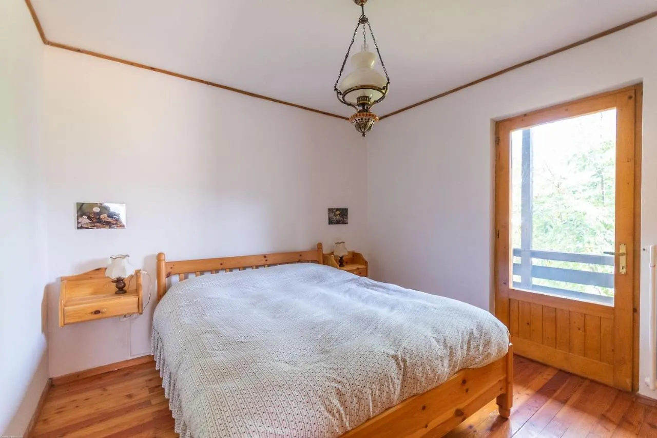 Casa Francesco Apartment Falcade